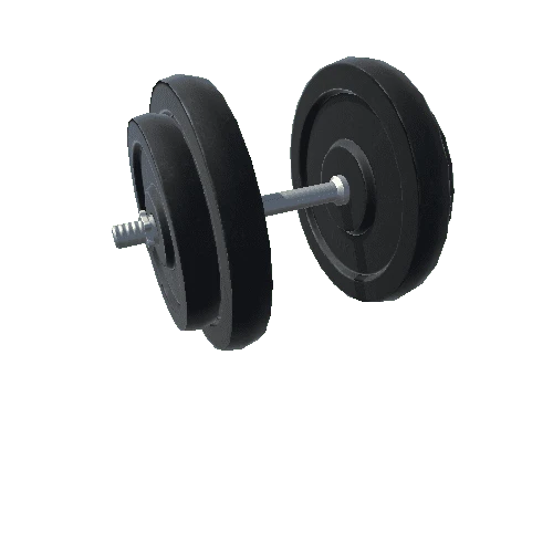 Dumbbell 30KG Quad